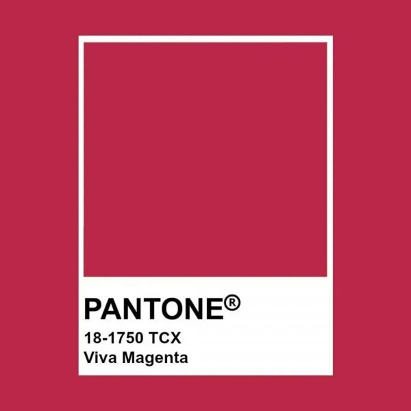 cvet-goda-2023-Viva-Magenta